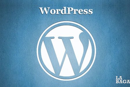 curso taller wordpress paginas web madrid